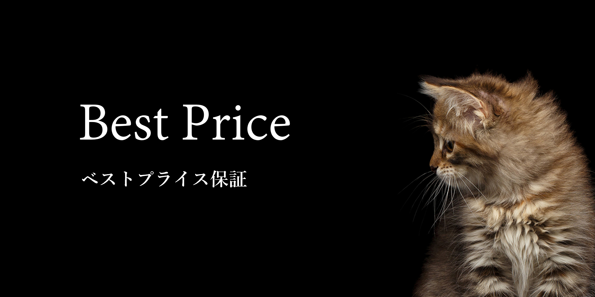 Best Price