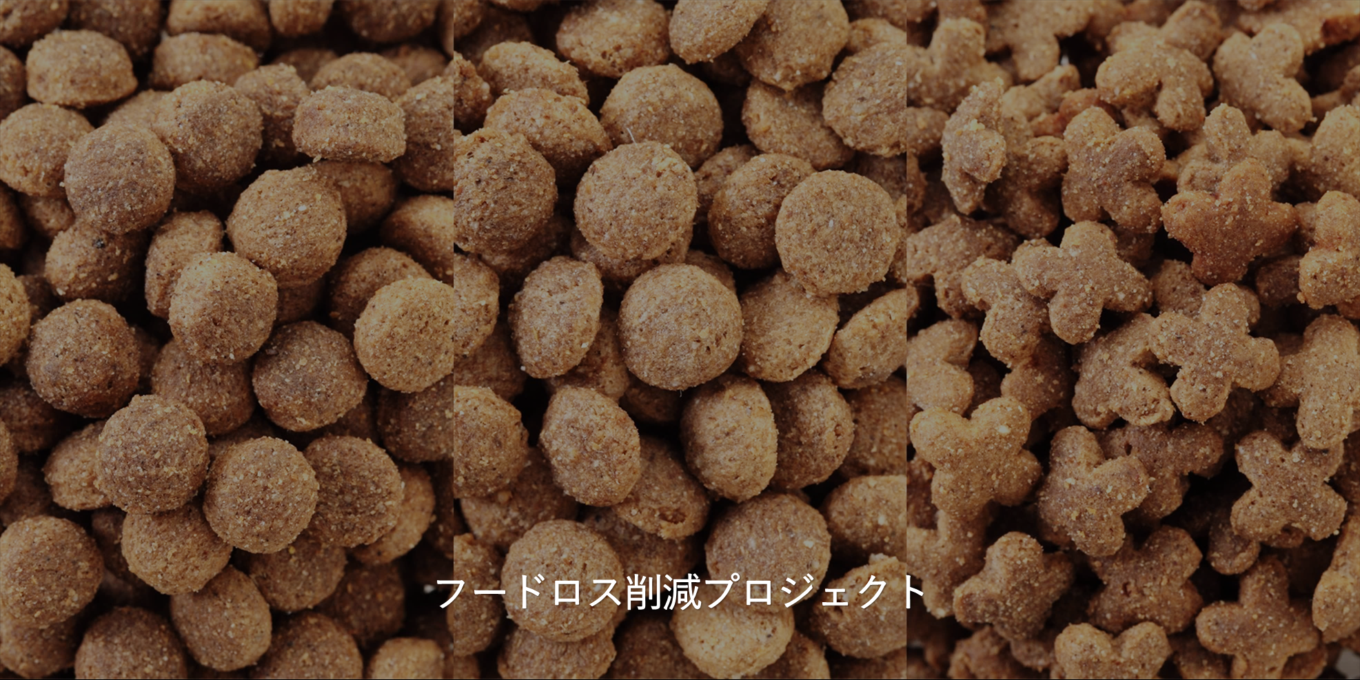 No-Foodloss Project フードロス削減